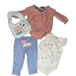 Carter’s and other brands 4 Piece Baby Girl Bundle Size 3-6 Months